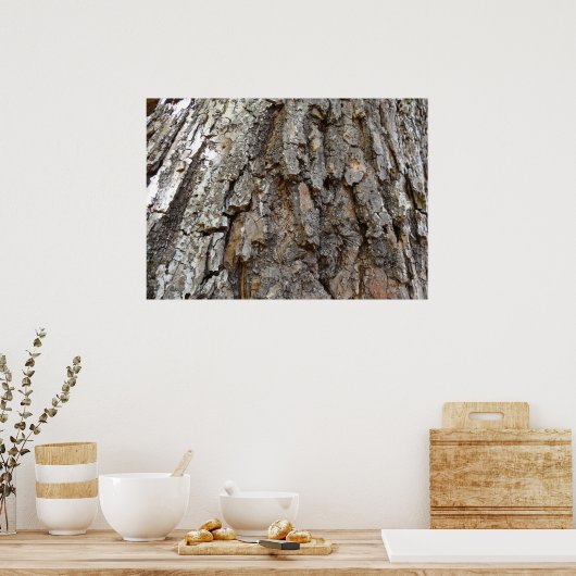 Baumrinde IV Abstrakte Natur Poster (Küche)