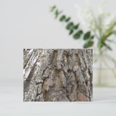 Baumrinde IV Abstrakte Natur Postkarte (Stehend Vorderseite)