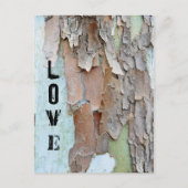 Baumrinde, Liebe, rustikal Postkarte (Vorderseite)