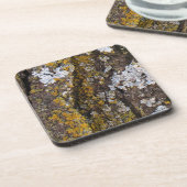 Baumrinde mit Lichen Getränkeuntersetzer (Linke Seite)