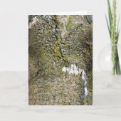 Baumrinde mit Nahem Moss Karte (Vorderseite)