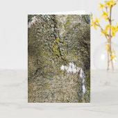 Baumrinde mit Nahem Moss Karte (Gelbe Blume)