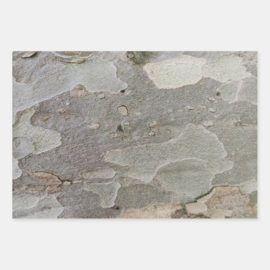 Baumrinde-Muster Packpapier-Blatt Geschenkpapier Set (Vorderseite)