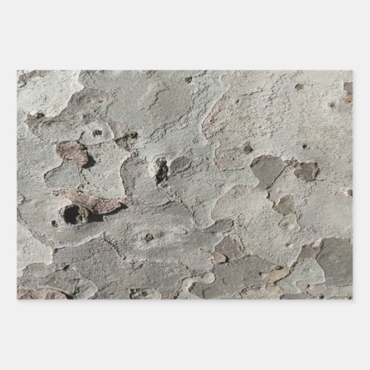 Baumrinde-Muster Packpapier-Blatt Geschenkpapier Set (Vorderseite 3)