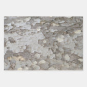 Baumrinde-Muster Packpapier-Blatt Geschenkpapier Set (Vorderseite 3)