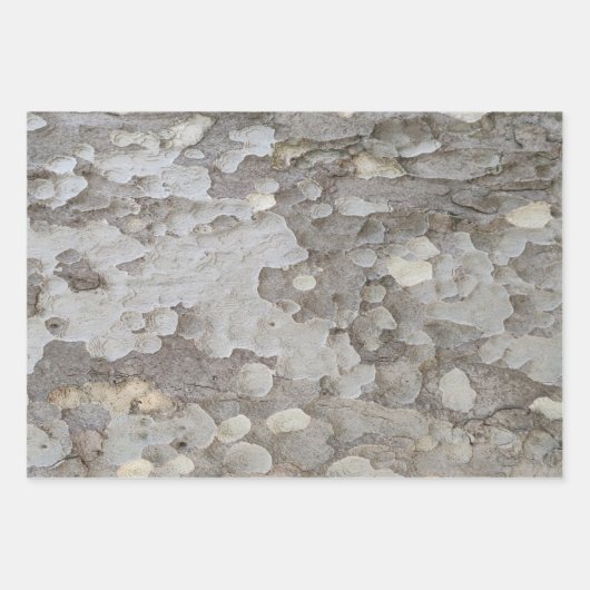 Baumrinde-Muster Packpapier-Blatt Geschenkpapier Set (Vorderseite 2)