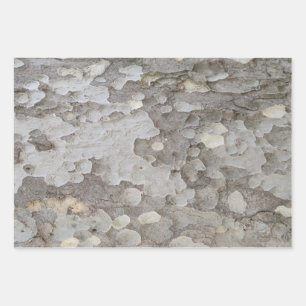 Baumrinde-Muster Packpapier-Blatt Geschenkpapier Set