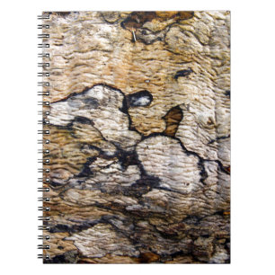 Baumrinde Notizblock