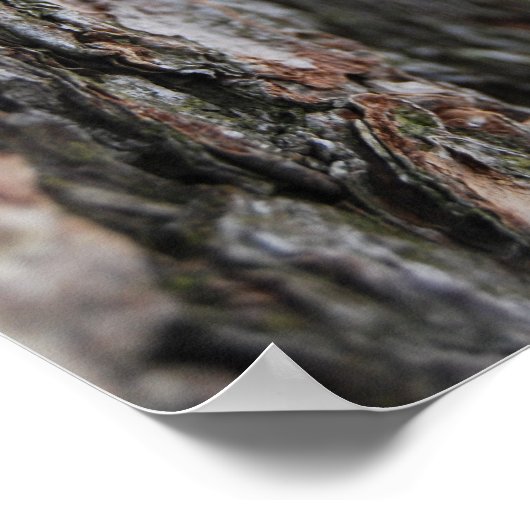 Baumrinde Poster (Ecke)