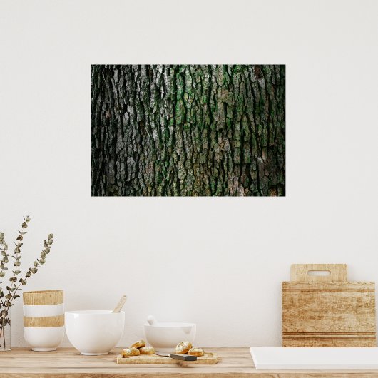 Baumrinde Poster (Küche)