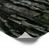 Baumrinde Poster (Ecke)