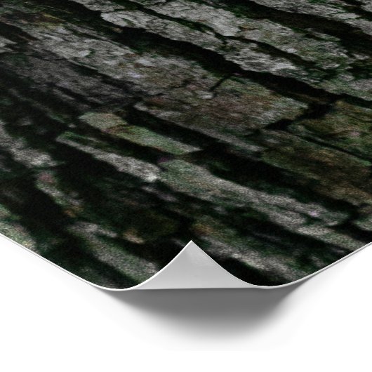 Baumrinde Poster (Ecke)