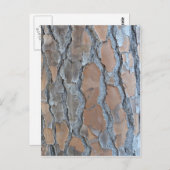 Baumrinde Postkarte (Vorne/Hinten)