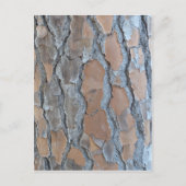 Baumrinde Postkarte (Vorderseite)