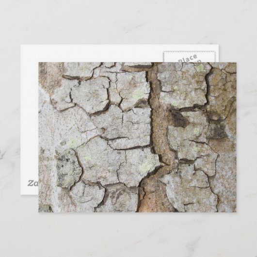 Baumrinde Postkarte (Vorne/Hinten)