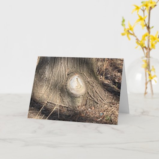 Baumrinde Textur große Knothole Fotografie Karte (Gelbe Blume)