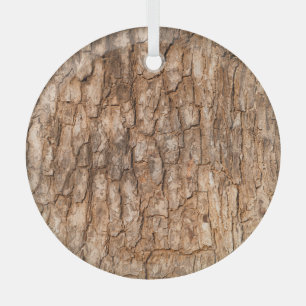 Baumrinde Textur, natürlicher Holzhintergrund. Ornament Aus Glas