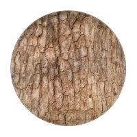 Baumrinde Textur, natürlicher Holzhintergrund.