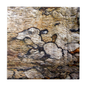 Baumrindemuster Fliese