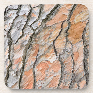 Baumrinden-Naturmuster Getränkeuntersetzer