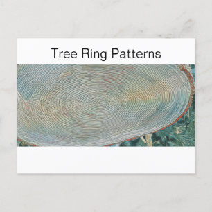 Baumringmuster Postkarte