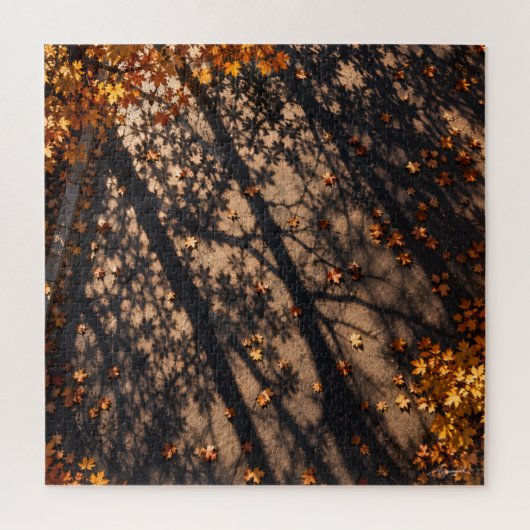 Baumschatten-Gitter-Pflaster-Fotografie Puzzle (Vertikal)