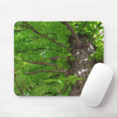 Baumschatten Mousepad (Mit Mouse)