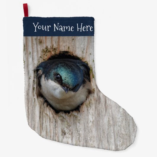 Baumschläfchen Songbird in Nestbox Großer Weihnachtsstrumpf (Vorderseite)