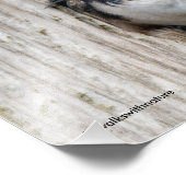 Baumschluchzen, neuer Besitzer von Nestbox Fotodruck (Ecke)