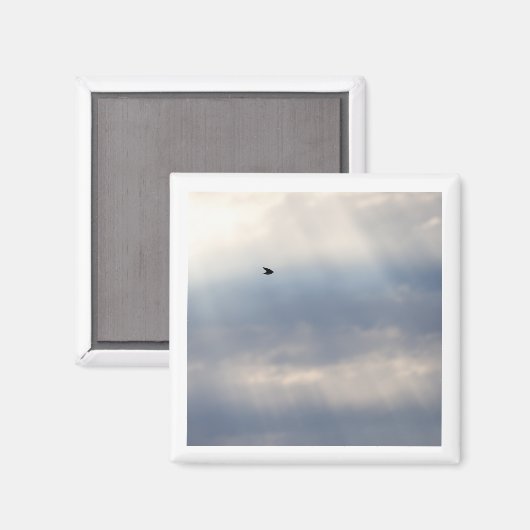 Baumschlucken 2 x 2-fach-Magnet Magnet (Vorderseite/Rückseite)