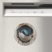 Baumschlucken in einer Nestbox Magnet (In Situ (Geschirrspüler))