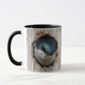 Baumschlucken in einer Nestbox Tasse (Links)