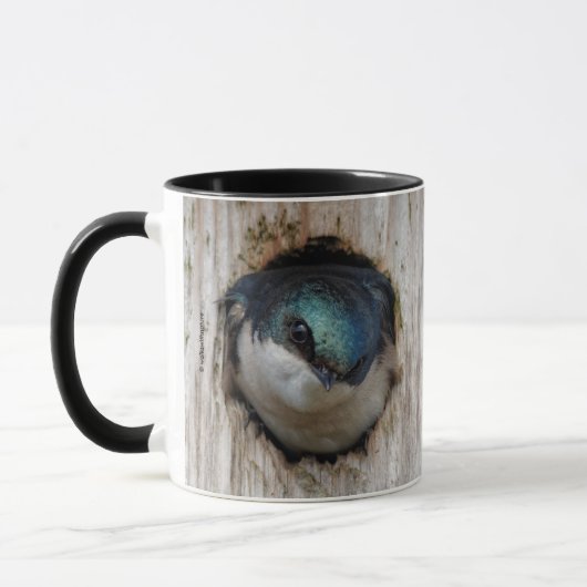 Baumschlucken in einer Nestbox Tasse (Links)