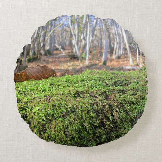 Baumschlummer im Herbstmoos - Personalisiert Rundes Kissen (Vorderseite)