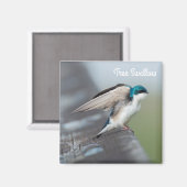 Baumschlupfstrecke Magnet (Vorderseite/Rückseite)