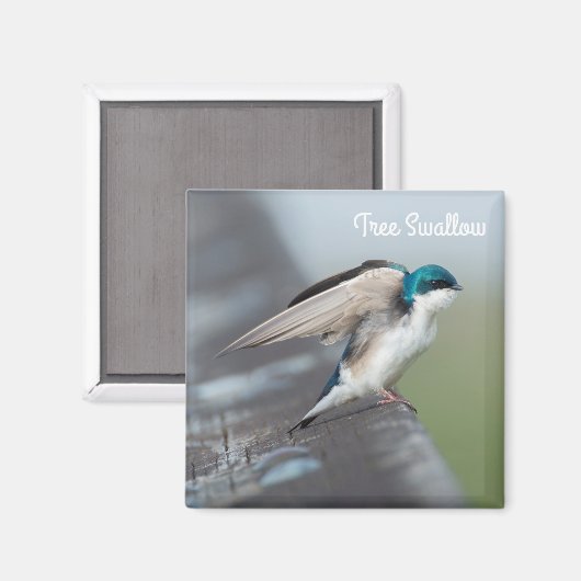 Baumschlupfstrecke Magnet (Vorderseite/Rückseite)