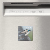 Baumschlupfstrecke Magnet (In Situ (Geschirrspüler))