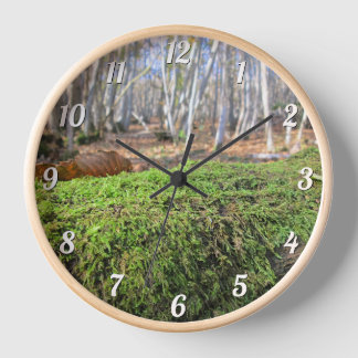 Baumscholle im Herbstmoos - Custom Round Wall Uhr