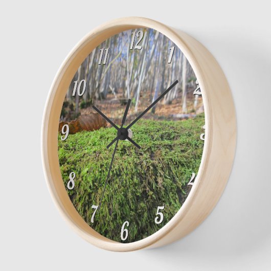 Baumscholle im Herbstmoos - Custom Round Wall Uhr (Winkel)