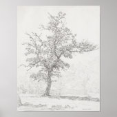 Baumskizze. Vintag Poster (Vorne)