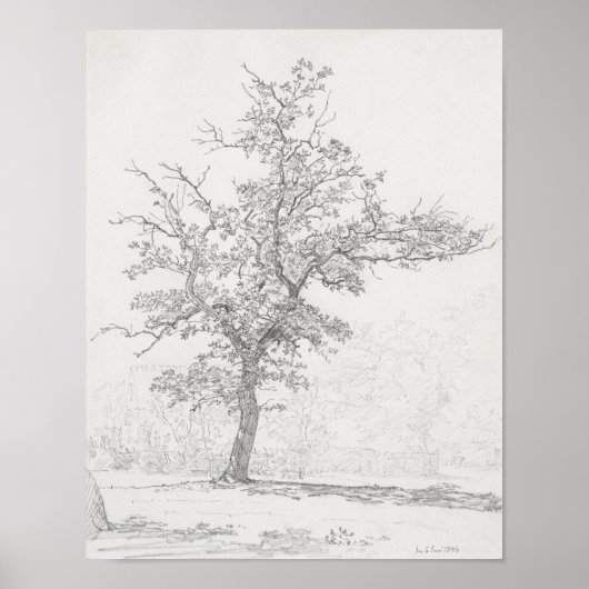 Baumskizze. Vintag Poster (Vorne)