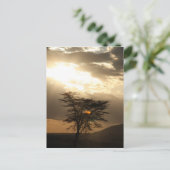 Baumsonnenuntergang Postkarte (Stehend Vorderseite)