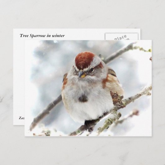Baumsparrow im Winter Postkarte (Vorne/Hinten)