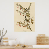 Baumsparrow Poster (Küche)