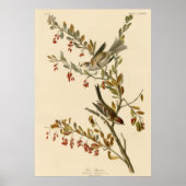 Baumsparrow Poster (Vorne)