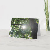 Baumspitze Karte (Rückseite)