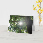 Baumspitze Karte (Gelbe Blume)