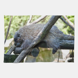 Baumstachelschwein Handtuch