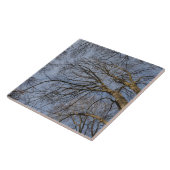 Baumstamm-Design/Baummuster Pioineer Park, WA Fliese (Seite)