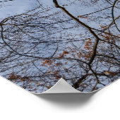 Baumstamm-Design/Muster. Pioineer Park, WA Poster (Ecke)